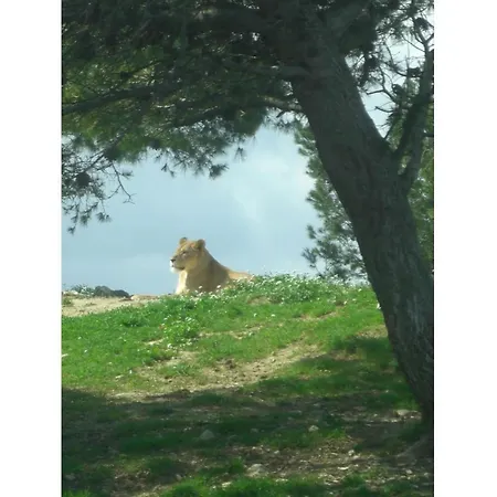 بيت للعطل Les De L