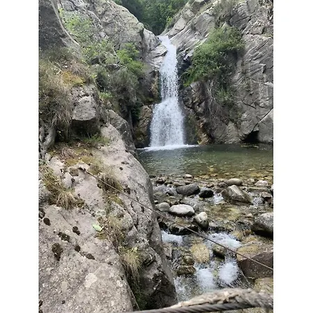 Les De L
